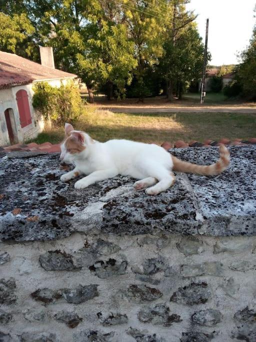 As Seen On A New Life In The Sun - Beautiful 3 Bedroom Cottage With Shared Pool Montboyer Bagian luar foto